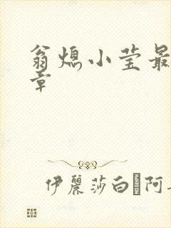翁熄小莹最新节章