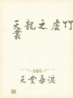 天龙之虚竹戏花丛封面