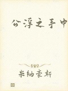 公浮之手中字5封面