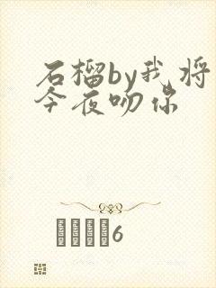 石榴by我将在今夜吻你