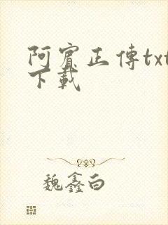 阿宾正传txt下载封面