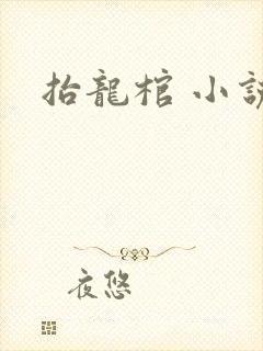 抬龙棺 小说