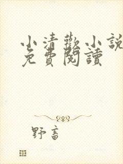 小清欢小说全文免费阅读封面