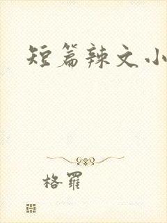 短篇辣文小说
