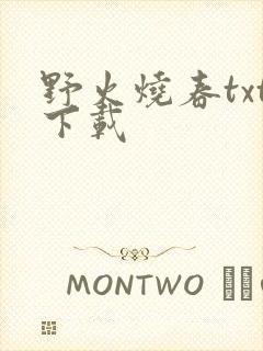 野火烧春txt下载