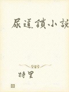 尿道锁小说
