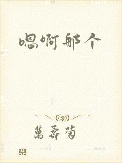 嗯啊那个