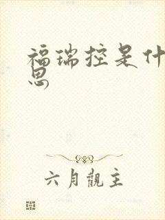 福瑞控是什么意思封面