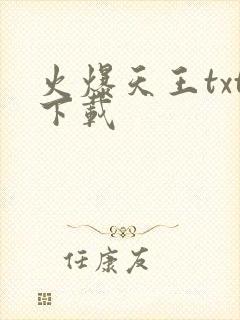 火爆天王txt下载封面