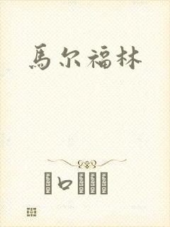 马尔福林封面