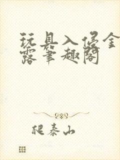 玩具入侵金银花露笔趣阁封面