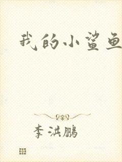 我的小鲨鱼