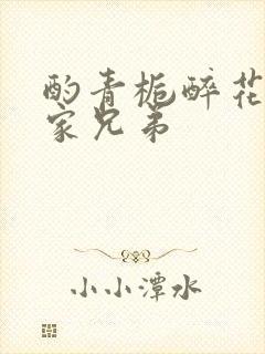 酌青栀醉花阴贺家兄弟封面