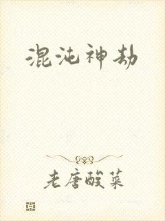 混沌神劫封面