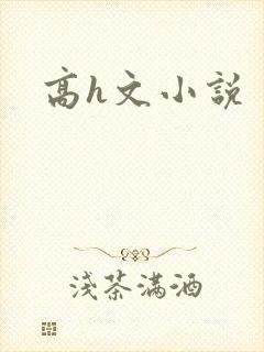 高h文小说