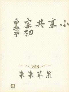 皇家共享小公主宁初