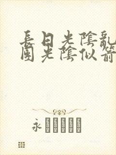 长日光阴乱作一团光阴似箭眇眇翟封面