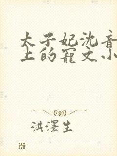 太子妃沈音和皇上的宠文小说封面