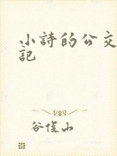 小诗的公交车日记