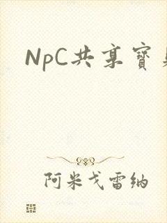 NpC共享宝贝