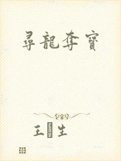 寻龙夺宝封面