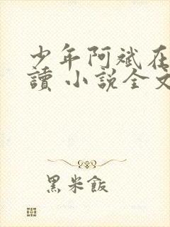 少年阿斌在线阅读 小说全文免费封面