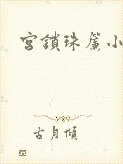 宫锁珠帘小说