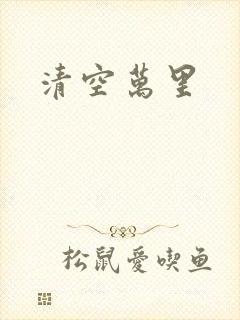 清空万里