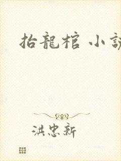 抬龙棺 小说