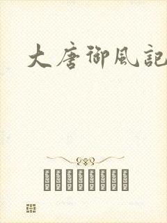 大唐御风记封面