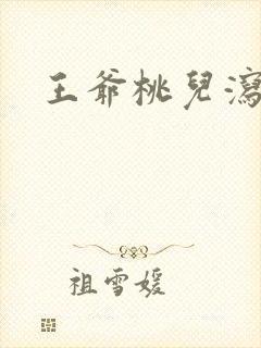 王爷桃儿泻了封面
