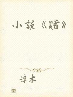 小说《赌》