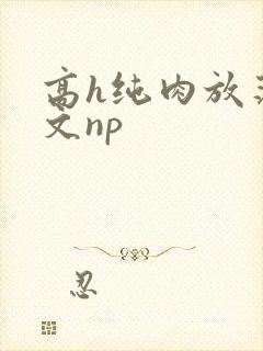 高h纯肉放荡h文np封面