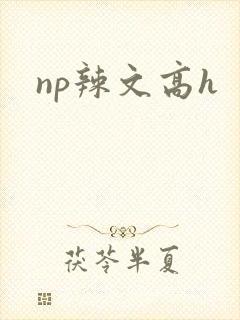 np辣文高h