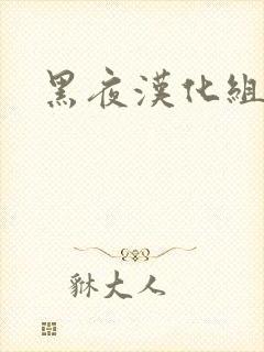 黑夜汉化组