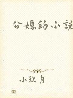公媳的小说