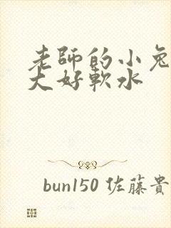 老师的小兔子好大好软水