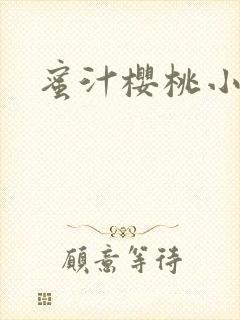 蜜汁樱桃小说封面