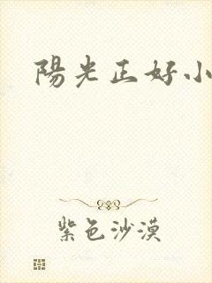 阳光正好小说