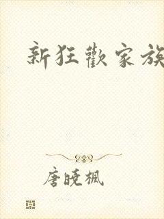 新狂欢家族小说封面