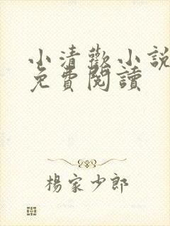 小清欢小说全文免费阅读封面