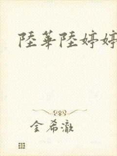陆华陆婷婷