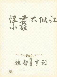 恨君不似江楼月小说封面