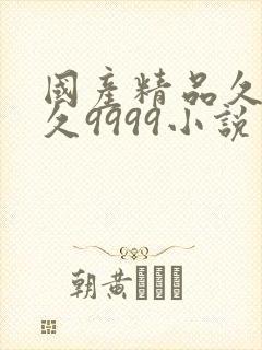 国产精品久久久久9999小说