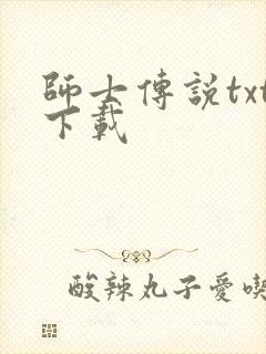 师士传说txt下载