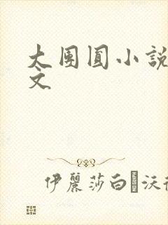 大团圆小说集全文