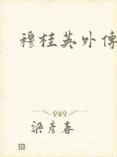 穆桂英外传