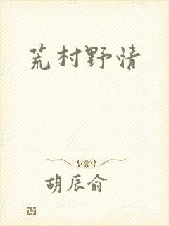 荒村野情封面