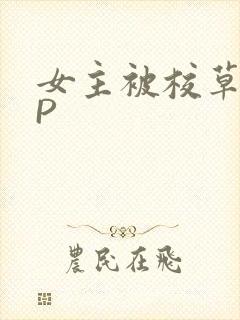 女主被校草们NP