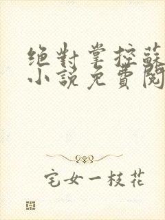 绝对掌控苏绵绵小说免费阅读全文
